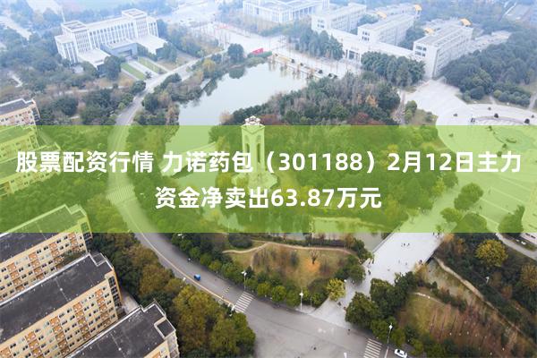 股票配资行情 力诺药包（301188）2月12日主力资金净卖出63.87万元