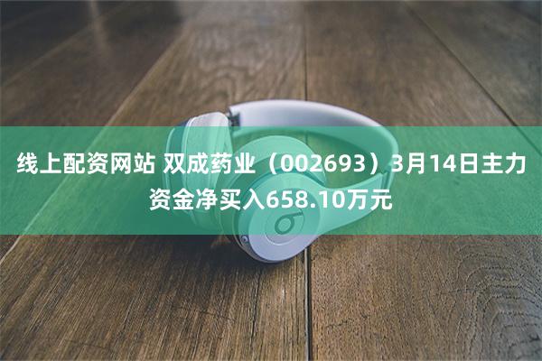 线上配资网站 双成药业（002693）3月14日主力资金净买入658.10万元
