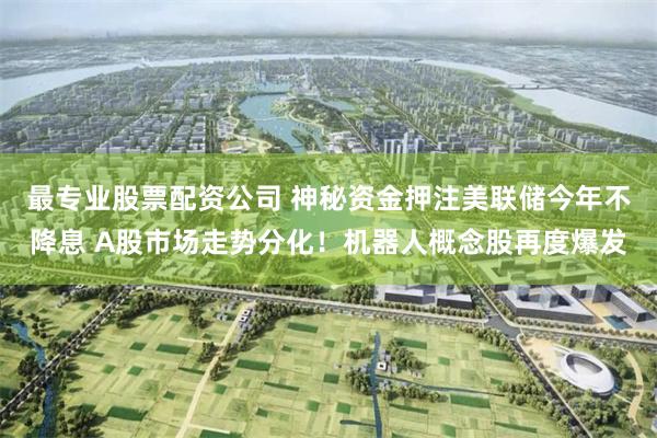 最专业股票配资公司 神秘资金押注美联储今年不降息 A股市场走势分化！机器人概念股再度爆发