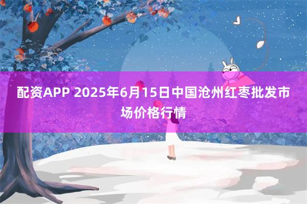 配资APP 2025年6月15日中国沧州红枣批发市场价格行情