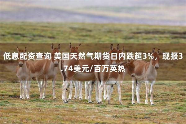 低息配资查询 美国天然气期货日内跌超3%，现报3.74美元/百万英热